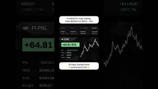 +1 wallet for copy trading. Make $4284 from $200.