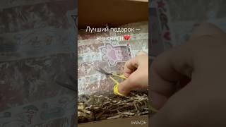 Распаковка сюрприза от подписчицы