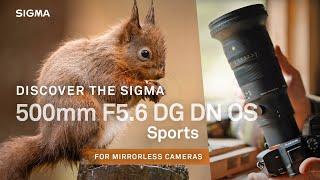 NEW Sigma 500mm F5.6 DG DN OS | Sports. What a lens!!