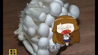 20160518玛记生活【阿玛教煲汤】煲汤：芦笋鲜菇白贝汤