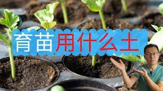 室内育苗用什么土好? 育苗土要考虑哪些因素？可以使用菜园土吗？