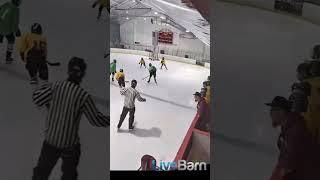 Slapshot goal