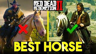 RANKING Every Role Horse From WORST to BEST in Red Dead Online (RDR2 Best Horses)