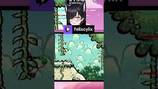 "You wanna f***ing try that s*** with me?" | felixcylix on #Twitch