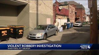 Violent robbery investigation in Shadyside