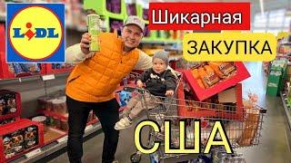 ЧТО С ЦЕНАМИ?/Закупка на неделю в Lidl/ Большой выбор товаров/ Южная Каролина/ Лиса в Америке/ Влог