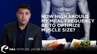 How High Should My Meal Frequency Be To Optimize Muscle Size?