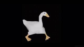 grooving duck doing default dance