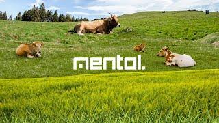 Mentol @ DanceFM Weekend Mood 051