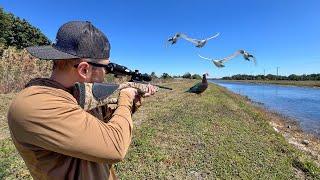 My First Time Spring Duck Hunting in Florida! (CATCH CLEAN COOK)