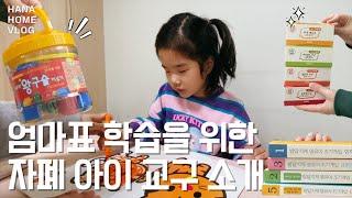 자폐 아이 교구 추천  엄마표 학습을 위한 교구 소개, 책 소개 / 언어, 인지, 간단한 공부 영상 모음