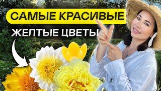 ПОСАДИЛ И ЗАБЫЛ! 20 самых неприхотливых желтых многолетников