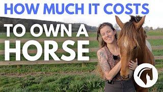 HOW MUCH DOES IT COST TO OWN A HORSE? DETAILED COST GUIDE 