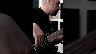 maneskin - the loneliest - Bass cover #shorts