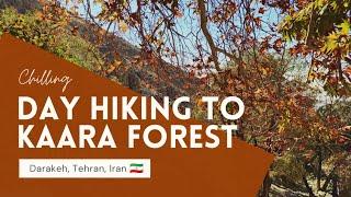 Light hiking Vlog | DARAKEH to KARA FOREST, Tehran, Iran  پیمایش از درکه تا جنگل کارا تهران، ایران