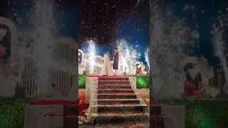 Big events and effects of a amazing decoration #shortsvideo #wedding #youtube #love #youtubeshorts