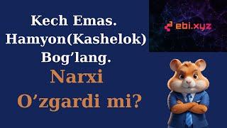 Hamster Kombat Kashelok (Hamyon) Ulang-Narxi O'zgardi mi?