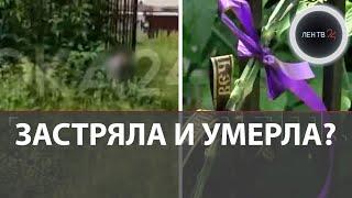 Засунула голову между прутьями забора, не смогла выбраться и погибла?
