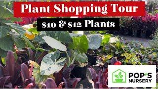 Plant Shopping Tour at Pop's Nursery || Large Plants for only $10 & $12 #plantshopping