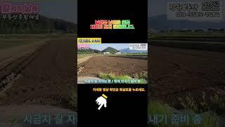 남해읍인근 저렴한농지 #남해부동산 #남해부동산매물 #남해농지#남해저렴한땅 #알려줘남해#남해토지매매