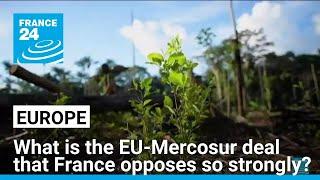 What exactly is the EU-Mercosur trade deal that French farmers are so strongly opposed to?