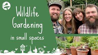 Wildlife Gardening in Small Spaces with Ellie and Ben from the Wildlife Garden Podcast