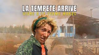 335- TEMPETE ARRIVE A NOTRE FERME AU MAROC