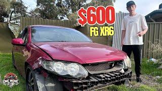 Bargain Ford FG XR6 for $600 - Our Tenth Car!