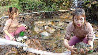 Amazing Fishing Techniques | Pumping Water Outside the Natural Lake, Catching a Lot of Big Fish