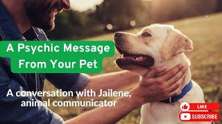 A Psychic Message from Your Pet.  Communicate with Your animals here on Earth and in Spirit.