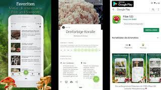 Pilze 123 Android App [3.700 Pilze, Pilzbestimmung, Offline, AutoML, Machine Learning]