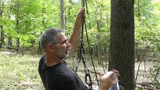 DRT climbing  Leaning  trees