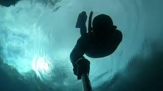 Freediving Florida Springs