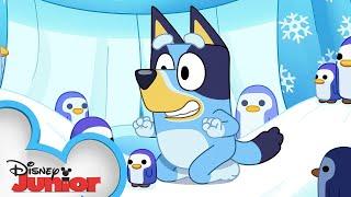 Bluey Season 3 Episode 38 "Cubby" Episode Clip | @disneyjr x @BlueyOfficialChannel