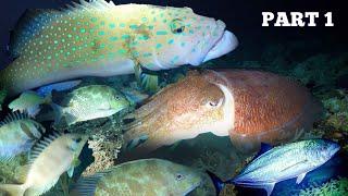 e90 - Part 1 | Night Spearfishing Hunting At Night | D Ilocano Hunter