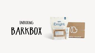 Unboxing Barkbox's Bark Bright