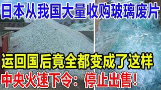 日本从我国大量收购玻璃废片，运回国后竟全都变成了这样！中央火速下令：停止出售！