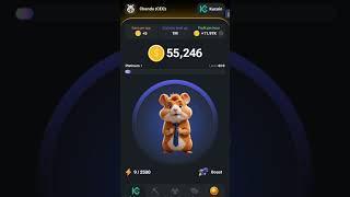 Hamster Kombat App Inside Review #hamsterkombat #trending #crypto