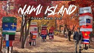 Nami Island Autumn Beautiful Maples Leaf/ South Korea Travel