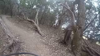 Picnic at Brushy Creek