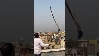 600 kabutar delhi 6 #short #shortvideo #tiktok @sahilkhanvlog