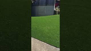 Front yard perfect #brisbanehome #goldcoasthomes #brisbanemums #artificialgrass #brisbane