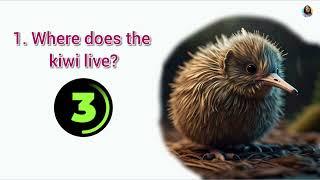 Learn English with the Kiwi Bird | Fun Facts and Quiz for English Practice!