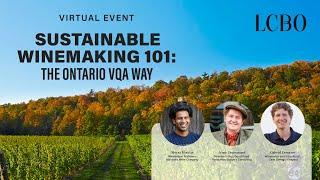 Sustainable Winemaking 101: The Ontario VQA Way