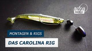 Das Carolina Rig - Nippon Tackle Montagen & Rigs