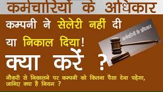 कंपनी ने आपको निकाल दिया है, क्या करें?  Termination Rules & Employee Rights