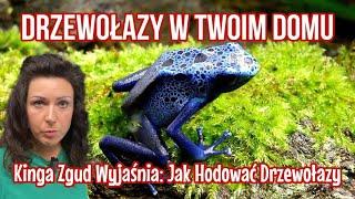 KOLOROWE DRZEWOŁAZY | Kinga Zgud Odpowiada!