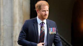 ‘Massive hypocrites’: Prince Harry awarded another ‘participation trophy’