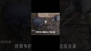 山東挖出項羽墓，棺材上出現42碼大腳印，竟是墓主人自己要求的？ #尋寶 #古墓 #文物 #考古發現 #揭秘