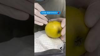 사과로 잇몸이식이요?